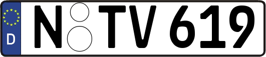N-TV619