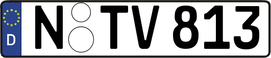 N-TV813