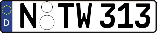 N-TW313