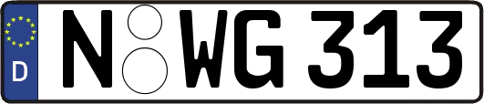 N-WG313