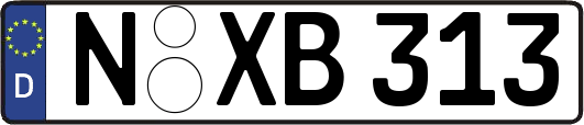 N-XB313