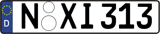 N-XI313