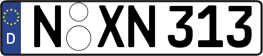 N-XN313
