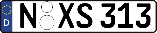 N-XS313