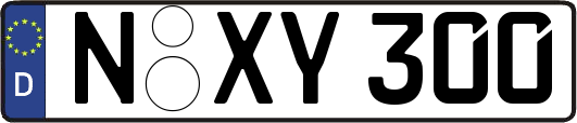 N-XY300