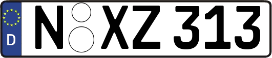 N-XZ313
