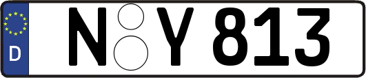 N-Y813