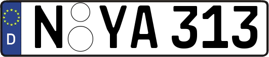 N-YA313