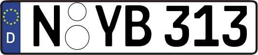 N-YB313