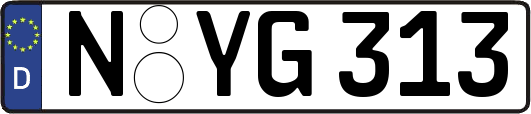 N-YG313