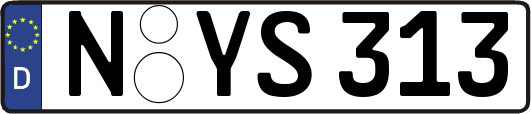 N-YS313