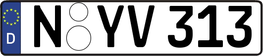 N-YV313