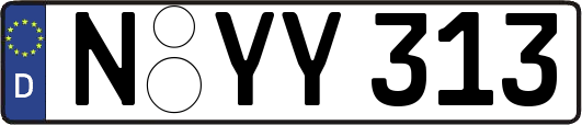 N-YY313