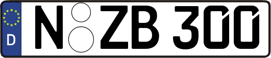N-ZB300