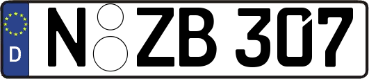 N-ZB307