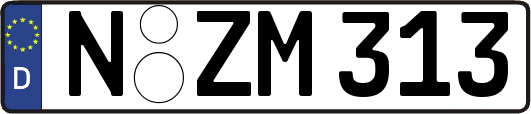N-ZM313