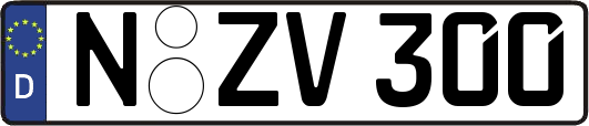 N-ZV300
