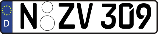 N-ZV309