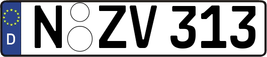 N-ZV313