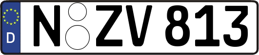 N-ZV813