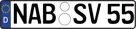 NAB-SV55