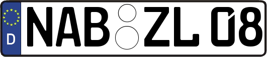 NAB-ZL08