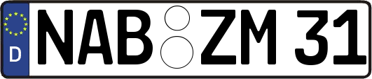 NAB-ZM31