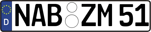 NAB-ZM51
