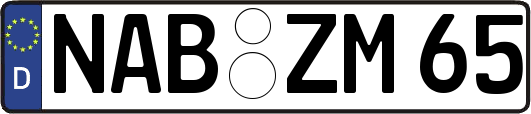 NAB-ZM65