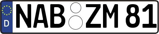 NAB-ZM81
