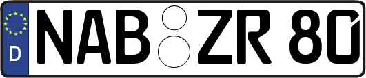 NAB-ZR80