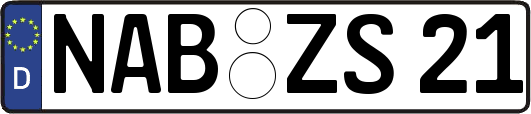 NAB-ZS21