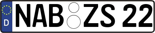 NAB-ZS22