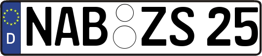 NAB-ZS25