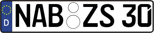NAB-ZS30