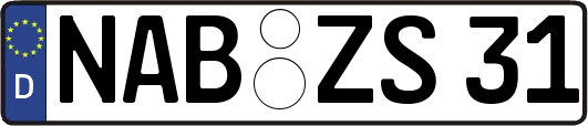 NAB-ZS31
