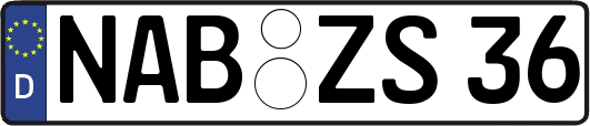 NAB-ZS36