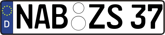NAB-ZS37