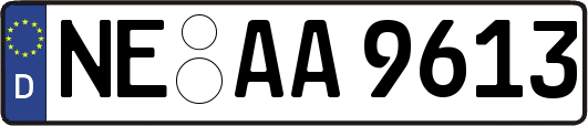NE-AA9613