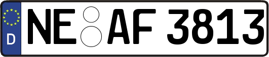 NE-AF3813