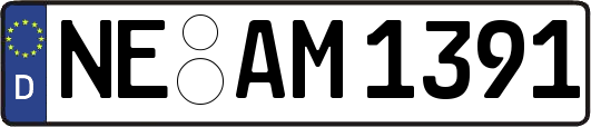 NE-AM1391