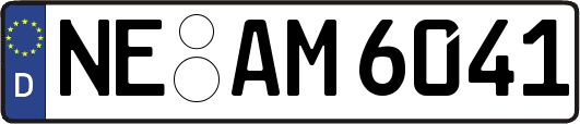 NE-AM6041