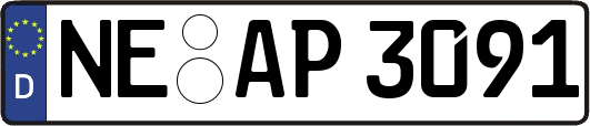 NE-AP3091