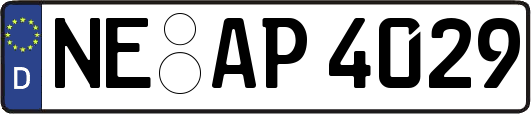 NE-AP4029
