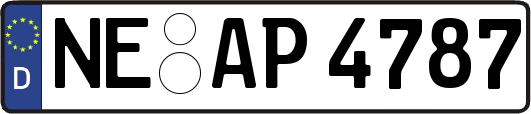 NE-AP4787