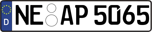 NE-AP5065