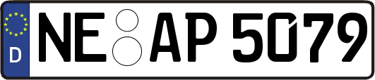 NE-AP5079