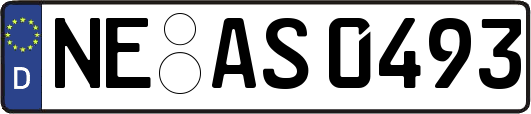 NE-AS0493