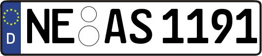 NE-AS1191