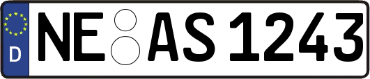 NE-AS1243